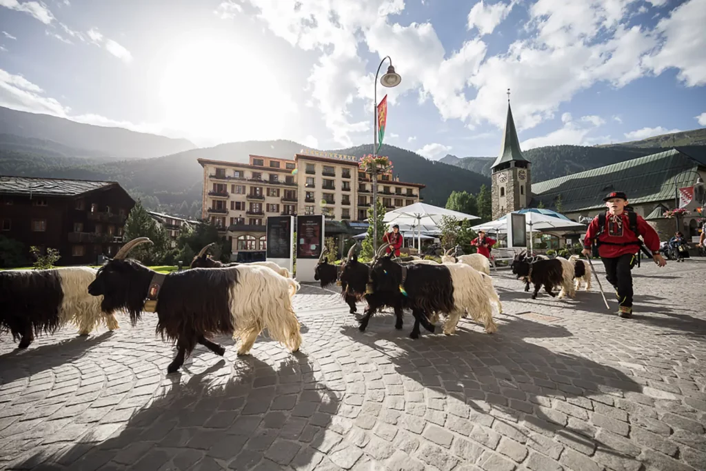 Backstage vernissage zermatt in summer